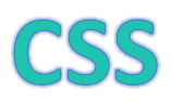 CSS Medical Coding